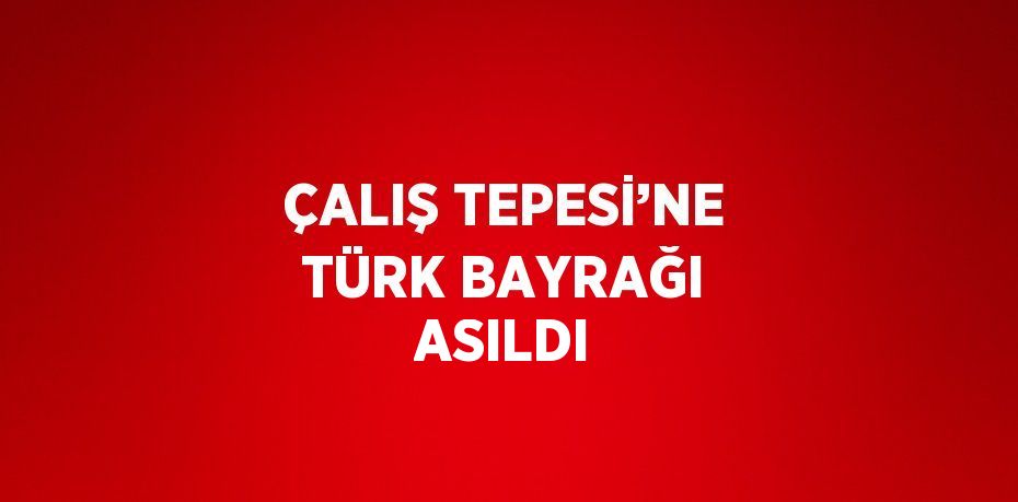 ÇALIŞ TEPESİ’NE TÜRK BAYRAĞI ASILDI