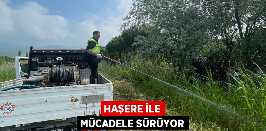 Haşere ile mücadele sürüyor