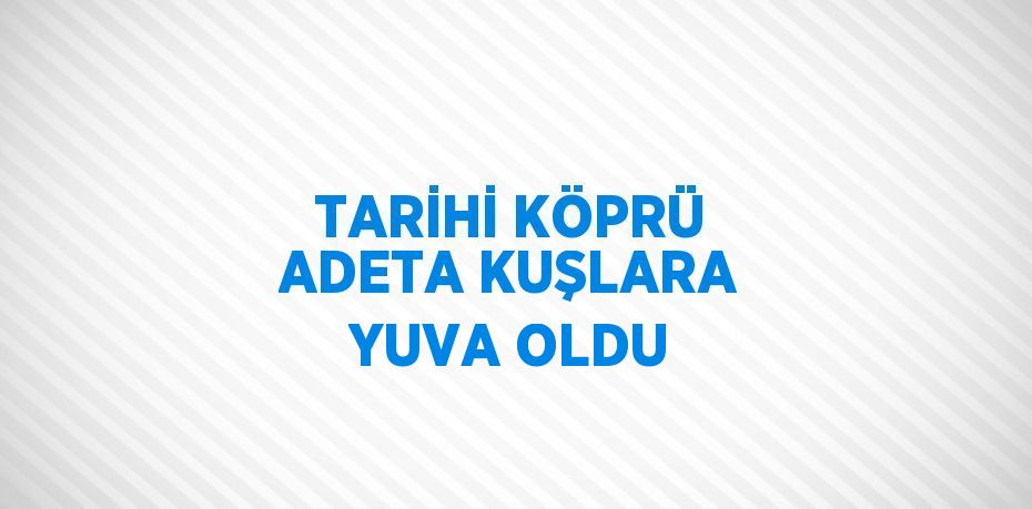 TARİHİ KÖPRÜ ADETA KUŞLARA YUVA OLDU