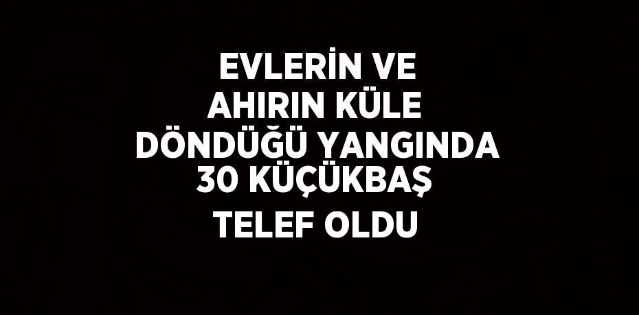 EVLERİN VE AHIRIN KÜLE DÖNDÜĞÜ YANGINDA 30 KÜÇÜKBAŞ TELEF OLDU