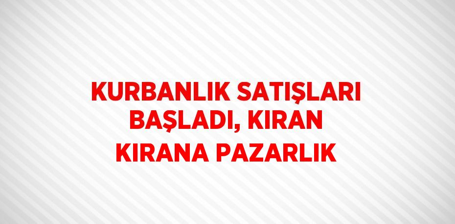 KURBANLIK SATIŞLARI BAŞLADI, KIRAN KIRANA PAZARLIK