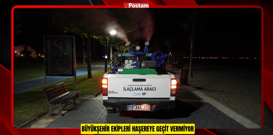 BÜYÜKŞEHİR EKİPLERİ HAŞEREYE GEÇİT VERMİYOR