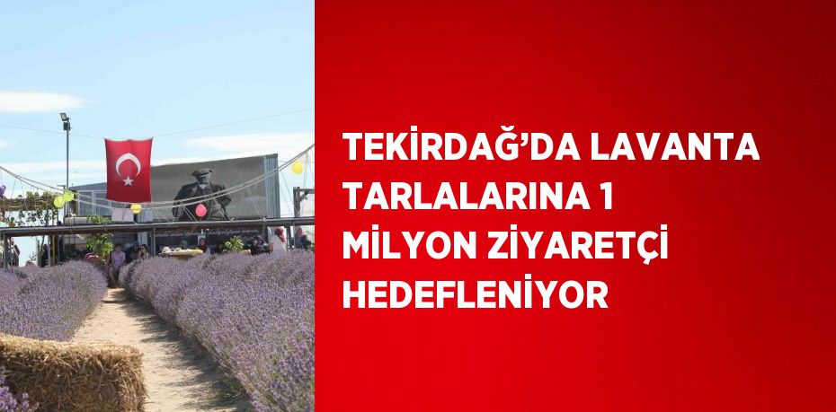 TEKİRDAĞ’DA LAVANTA TARLALARINA 1 MİLYON ZİYARETÇİ HEDEFLENİYOR