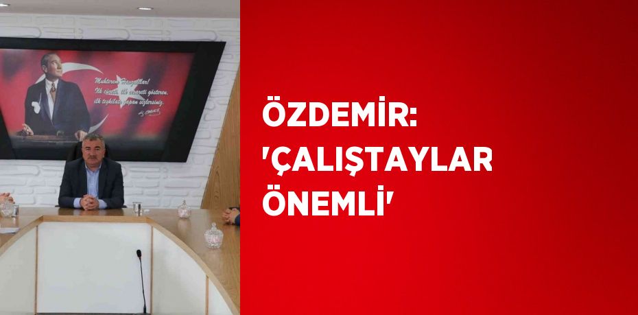 ÖZDEMİR: 'ÇALIŞTAYLAR ÖNEMLİ'