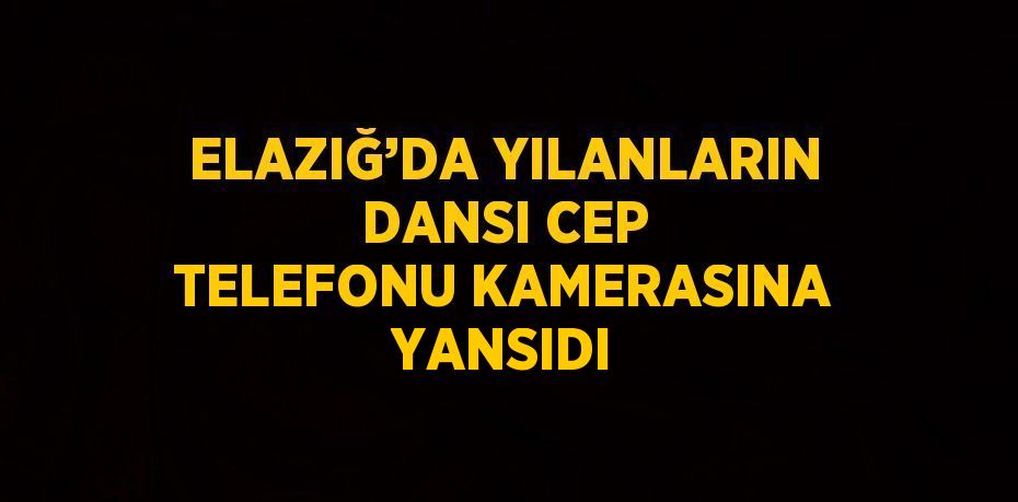 ELAZIĞ’DA YILANLARIN DANSI CEP TELEFONU KAMERASINA YANSIDI