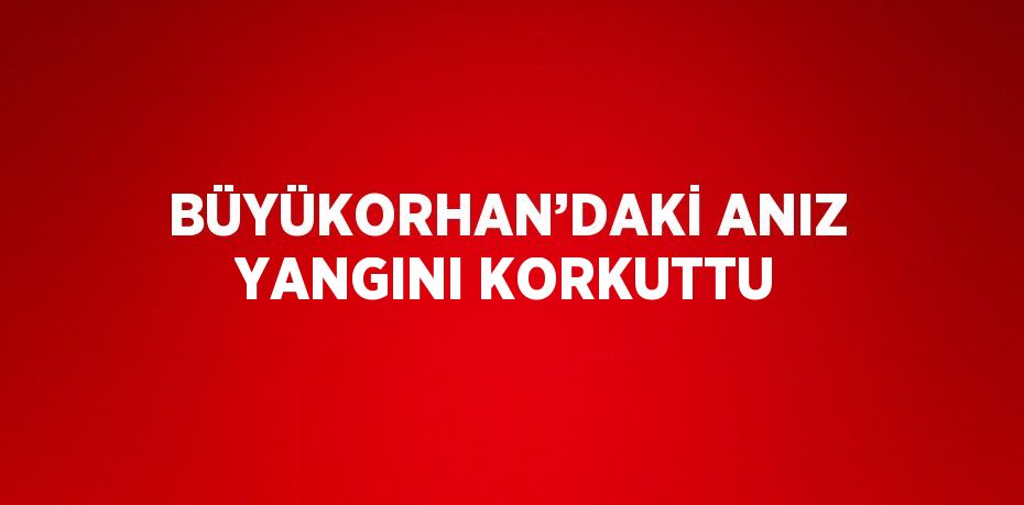 BÜYÜKORHAN’DAKİ ANIZ YANGINI KORKUTTU