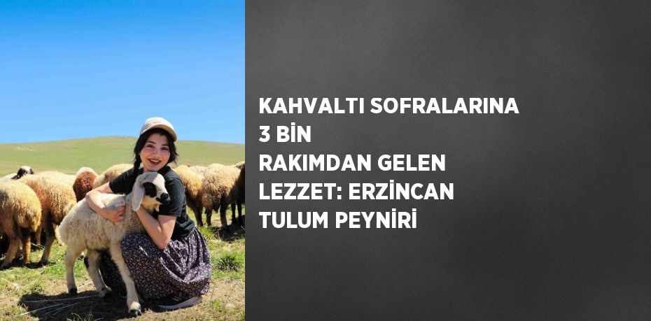 KAHVALTI SOFRALARINA 3 BİN RAKIMDAN GELEN LEZZET: ERZİNCAN TULUM PEYNİRİ