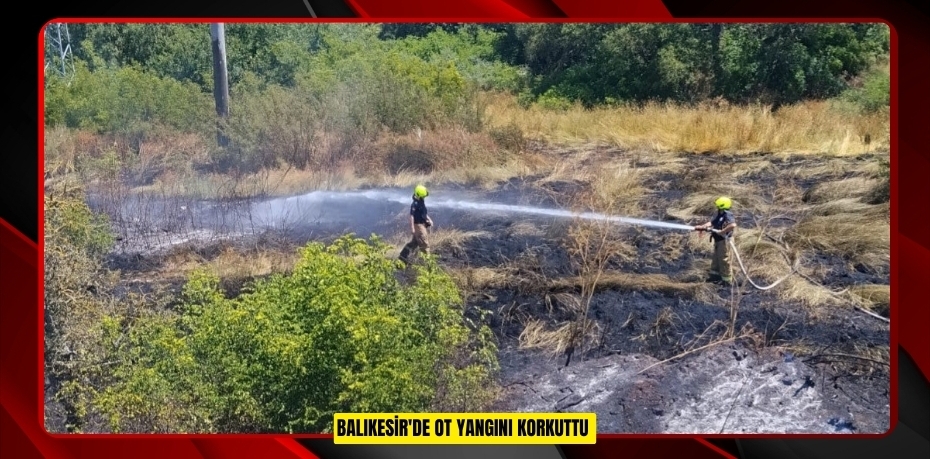 Balıkesir'de ot yangını korkuttu  
