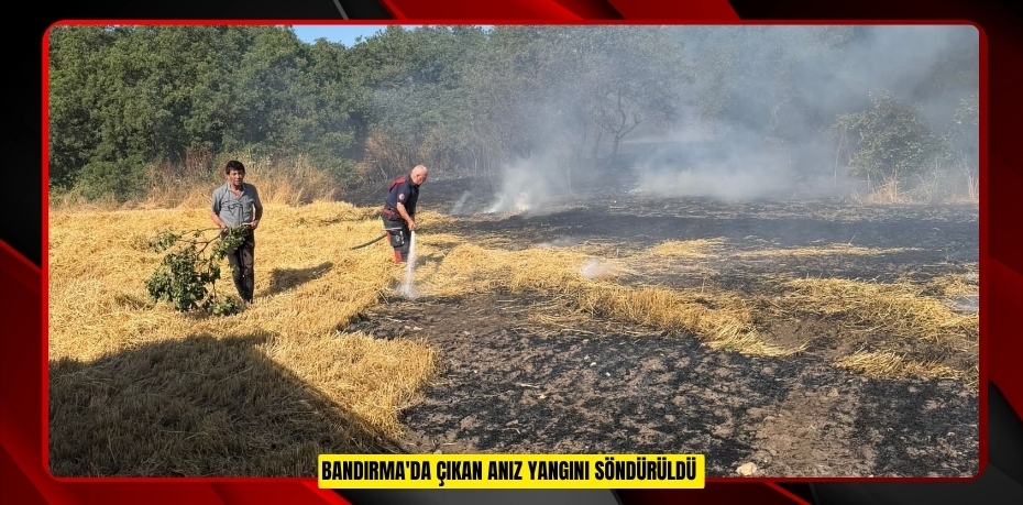 Bandırma'da çıkan anız yangını söndürüldü