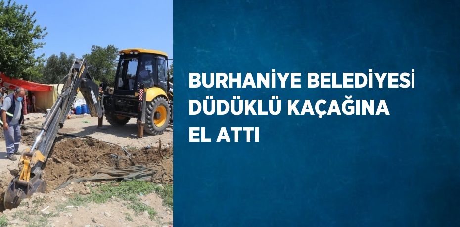 BURHANİYE BELEDİYESİ DÜDÜKLÜ KAÇAĞINA EL ATTI