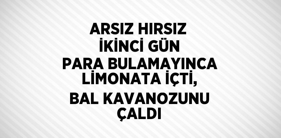 ARSIZ HIRSIZ İKİNCİ GÜN PARA BULAMAYINCA LİMONATA İÇTİ, BAL KAVANOZUNU ÇALDI