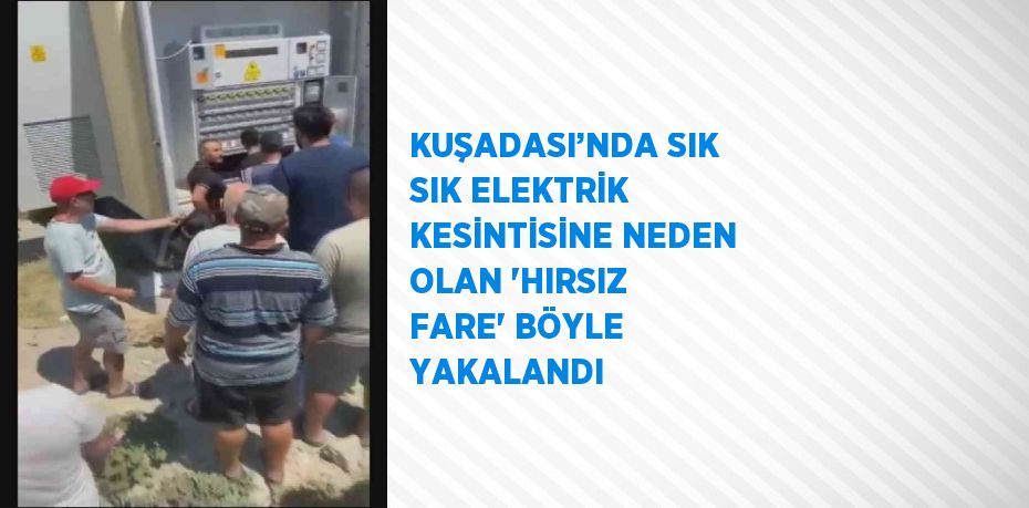 KUŞADASI’NDA SIK SIK ELEKTRİK KESİNTİSİNE NEDEN OLAN 'HIRSIZ FARE' BÖYLE YAKALANDI