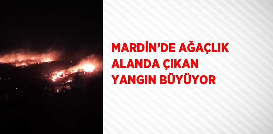 MARDİN’DE AĞAÇLIK ALANDA ÇIKAN YANGIN BÜYÜYOR