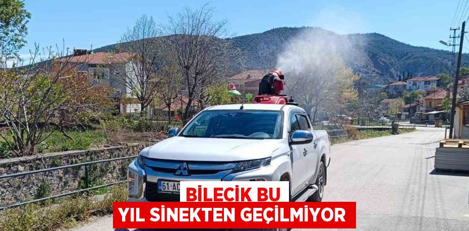 BİLECİK BU YIL SİNEKTEN GEÇİLMİYOR