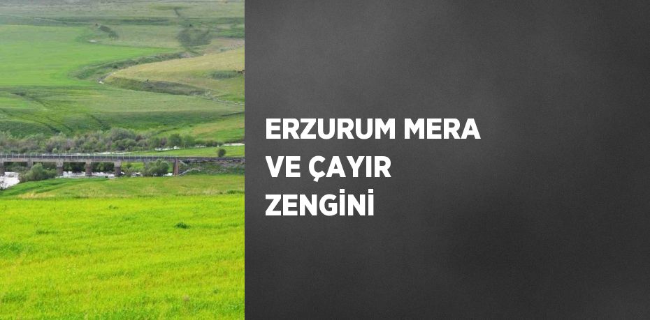 ERZURUM MERA VE ÇAYIR ZENGİNİ