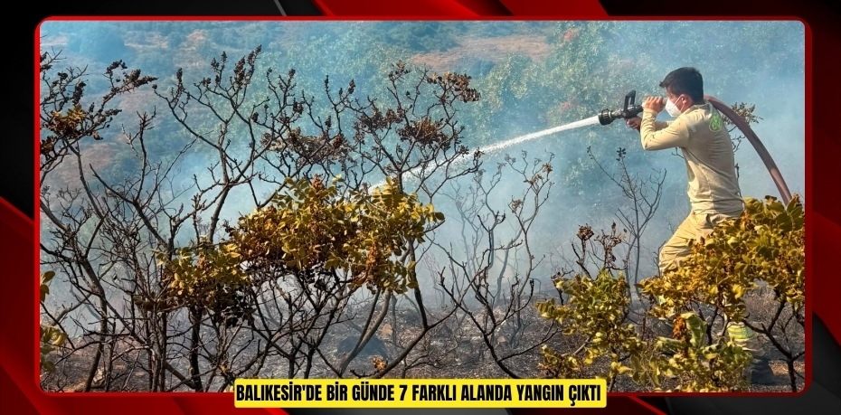 Balıkesir'de bir günde 7 farklı alanda yangın çıktı  
