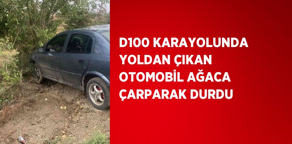 D100 KARAYOLUNDA YOLDAN ÇIKAN OTOMOBİL AĞACA ÇARPARAK DURDU