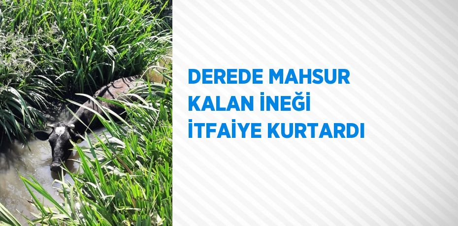 DEREDE MAHSUR KALAN İNEĞİ İTFAİYE KURTARDI