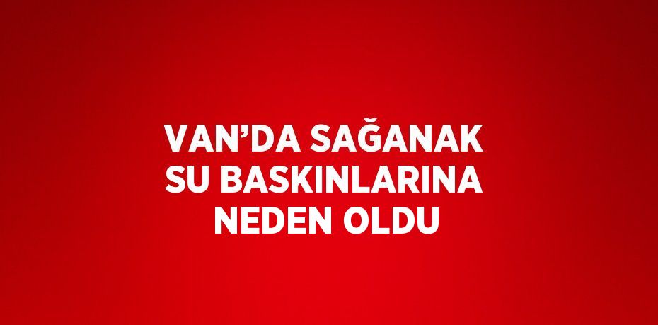 VAN’DA SAĞANAK SU BASKINLARINA NEDEN OLDU