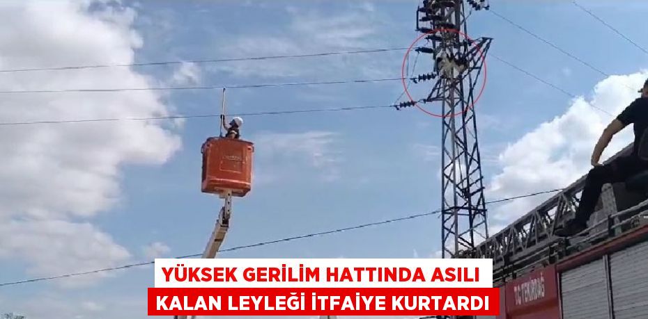 YÜKSEK GERİLİM HATTINDA ASILI KALAN LEYLEĞİ İTFAİYE KURTARDI