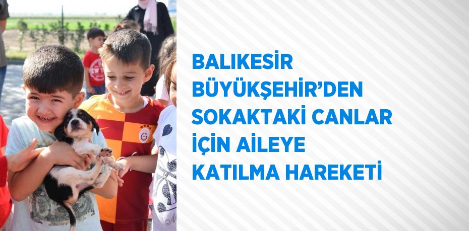 BALIKESİR BÜYÜKŞEHİR’DEN SOKAKTAKİ CANLAR İÇİN AİLEYE KATILMA HAREKETİ