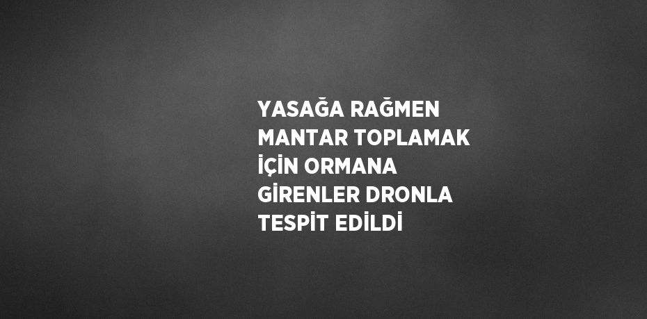 YASAĞA RAĞMEN MANTAR TOPLAMAK İÇİN ORMANA GİRENLER DRONLA TESPİT EDİLDİ