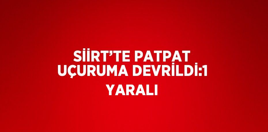 SİİRT’TE PATPAT UÇURUMA DEVRİLDİ:1 YARALI