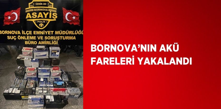 BORNOVA’NIN AKÜ FARELERİ YAKALANDI