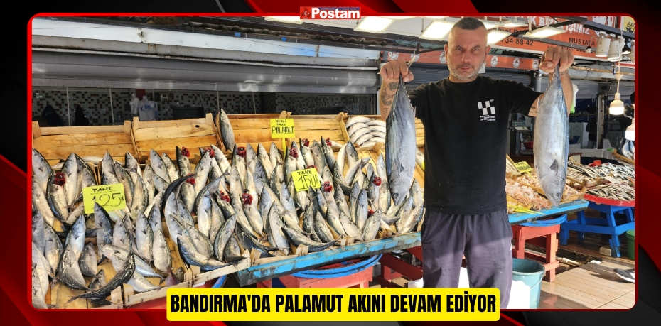 Bandırma'da palamut akını devam ediyor