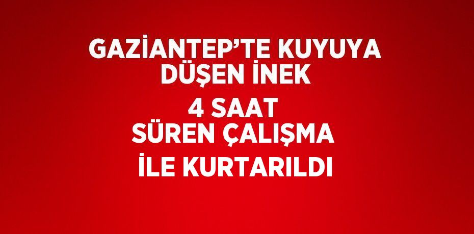 GAZİANTEP’TE KUYUYA DÜŞEN İNEK 4 SAAT SÜREN ÇALIŞMA İLE KURTARILDI