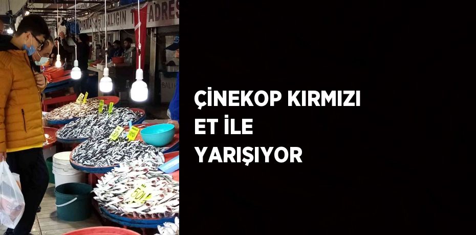 ÇİNEKOP KIRMIZI ET İLE YARIŞIYOR