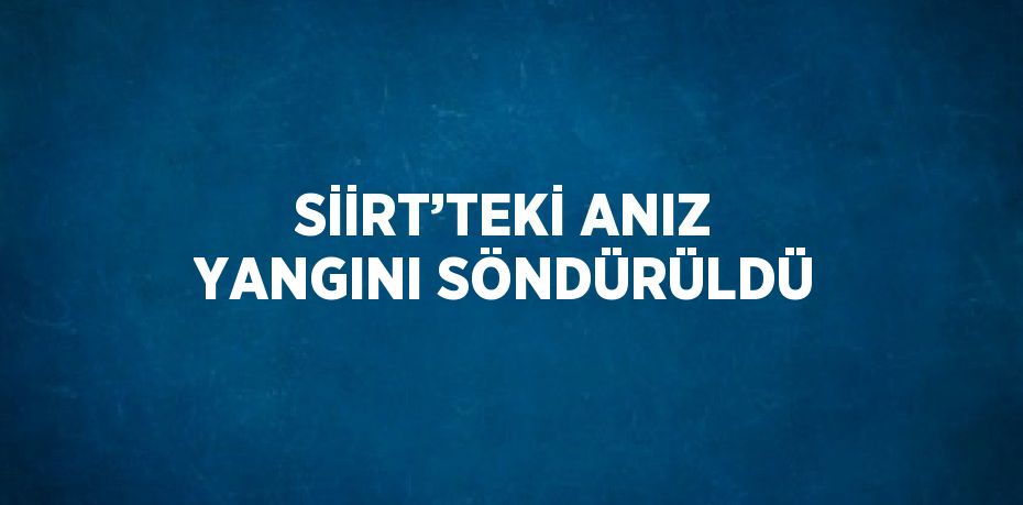 SİİRT’TEKİ ANIZ YANGINI SÖNDÜRÜLDÜ