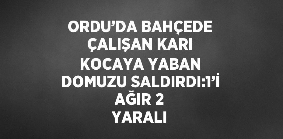 ORDU’DA BAHÇEDE ÇALIŞAN KARI KOCAYA YABAN DOMUZU SALDIRDI:1’İ AĞIR 2 YARALI