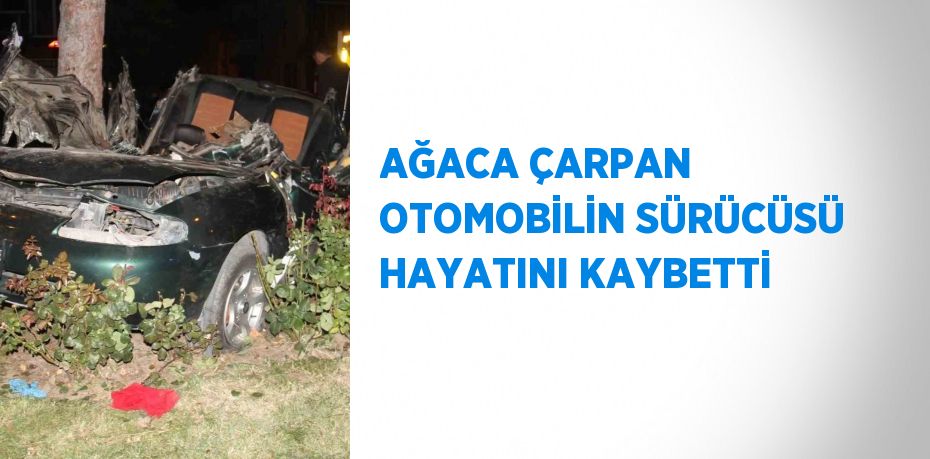 AĞACA ÇARPAN OTOMOBİLİN SÜRÜCÜSÜ HAYATINI KAYBETTİ