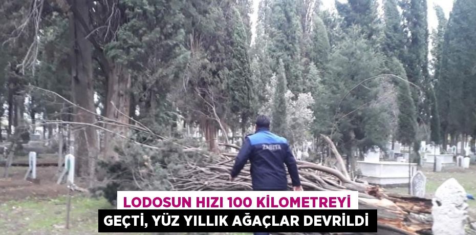 LODOSUN HIZI 100 KİLOMETREYİ GEÇTİ, YÜZ YILLIK AĞAÇLAR DEVRİLDİ