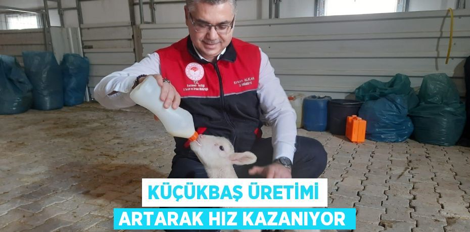 KÜÇÜKBAŞ ÜRETİMİ ARTARAK HIZ KAZANIYOR