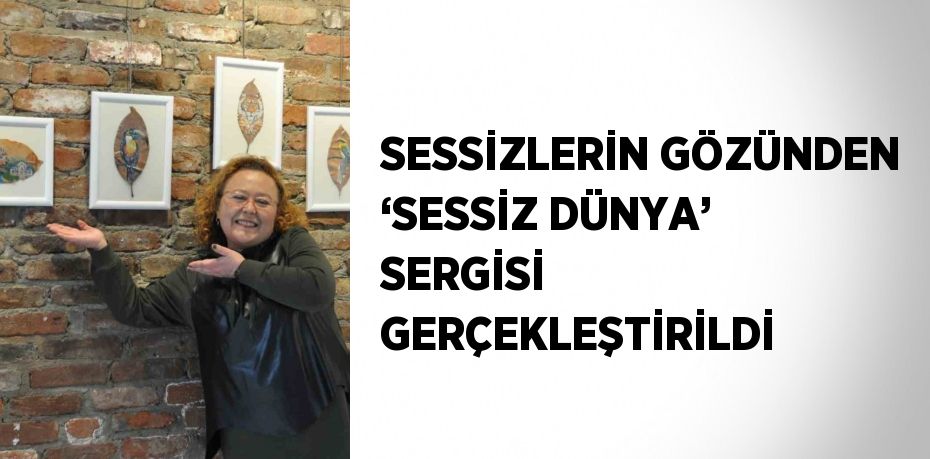 SESSİZLERİN GÖZÜNDEN ‘SESSİZ DÜNYA’ SERGİSİ GERÇEKLEŞTİRİLDİ