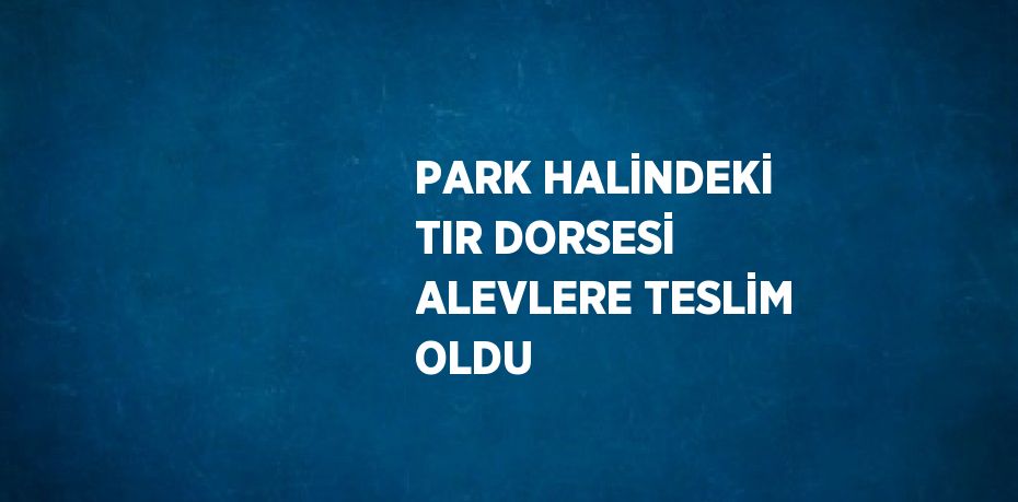 PARK HALİNDEKİ TIR DORSESİ ALEVLERE TESLİM OLDU