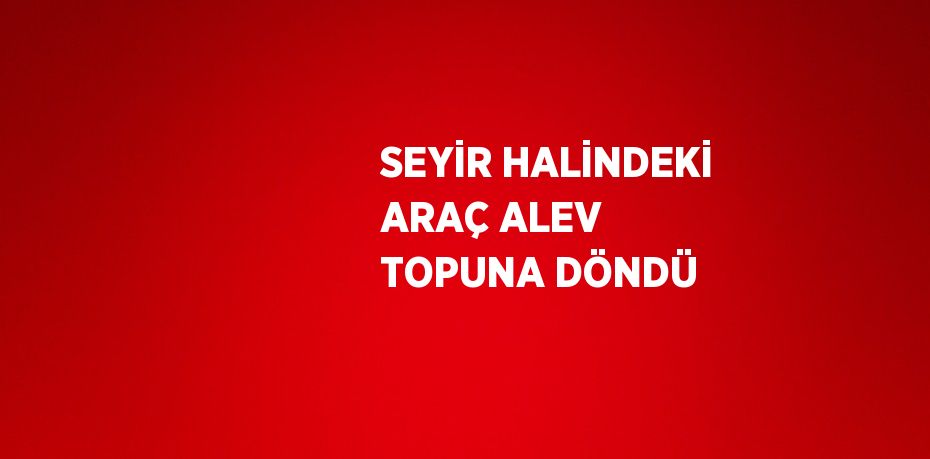 SEYİR HALİNDEKİ ARAÇ ALEV TOPUNA DÖNDÜ