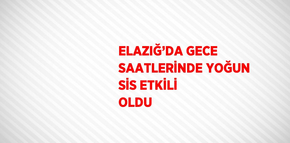 ELAZIĞ’DA GECE SAATLERİNDE YOĞUN SİS ETKİLİ OLDU