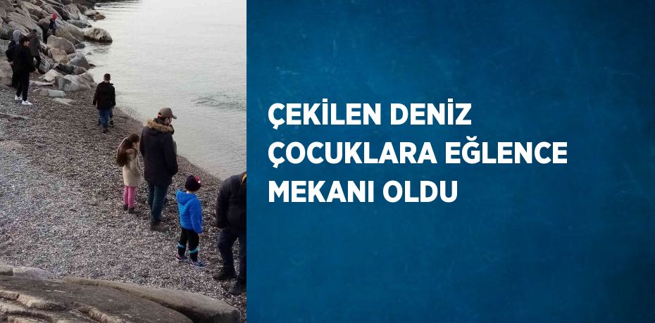 ÇEKİLEN DENİZ ÇOCUKLARA EĞLENCE MEKANI OLDU