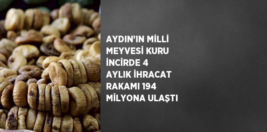 AYDIN’IN MİLLİ MEYVESİ KURU İNCİRDE 4 AYLIK İHRACAT RAKAMI 194 MİLYONA ULAŞTI