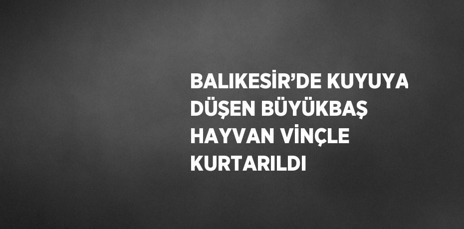 BALIKESİR’DE KUYUYA DÜŞEN BÜYÜKBAŞ HAYVAN VİNÇLE KURTARILDI