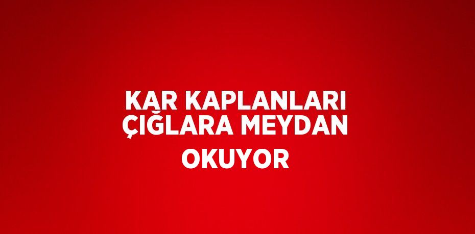 KAR KAPLANLARI ÇIĞLARA MEYDAN OKUYOR