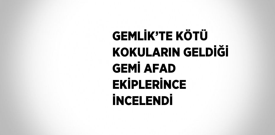 GEMLİK’TE KÖTÜ KOKULARIN GELDİĞİ GEMİ AFAD EKİPLERİNCE İNCELENDİ