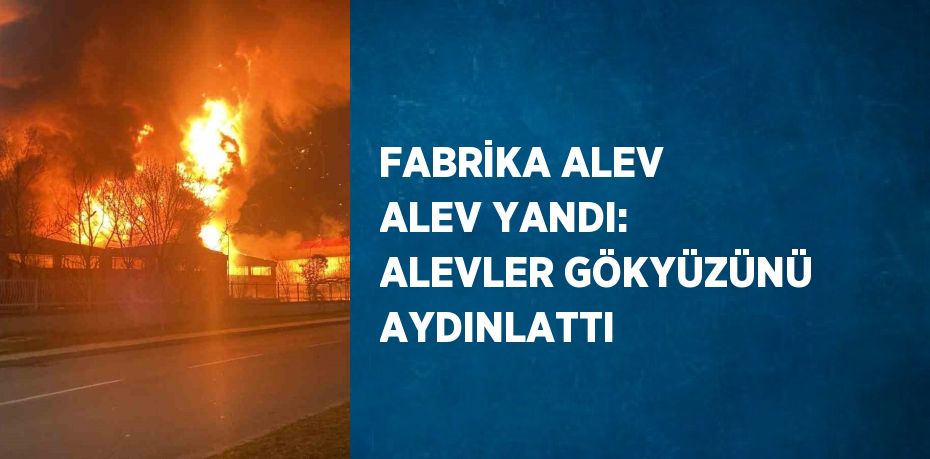 FABRİKA ALEV ALEV YANDI: ALEVLER GÖKYÜZÜNÜ AYDINLATTI