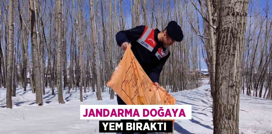 JANDARMA DOĞAYA YEM BIRAKTI