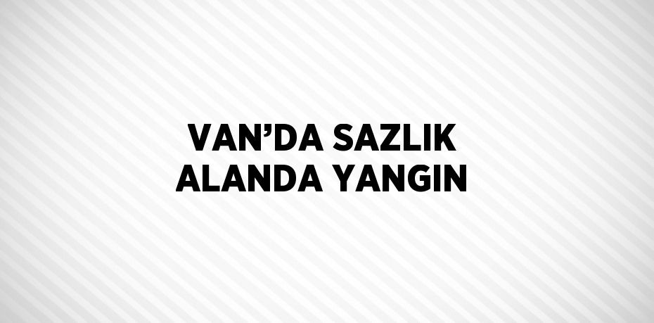 VAN’DA SAZLIK ALANDA YANGIN