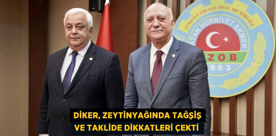 Diker, zeytinyağında tağşiş ve taklide dikkatleri çekti