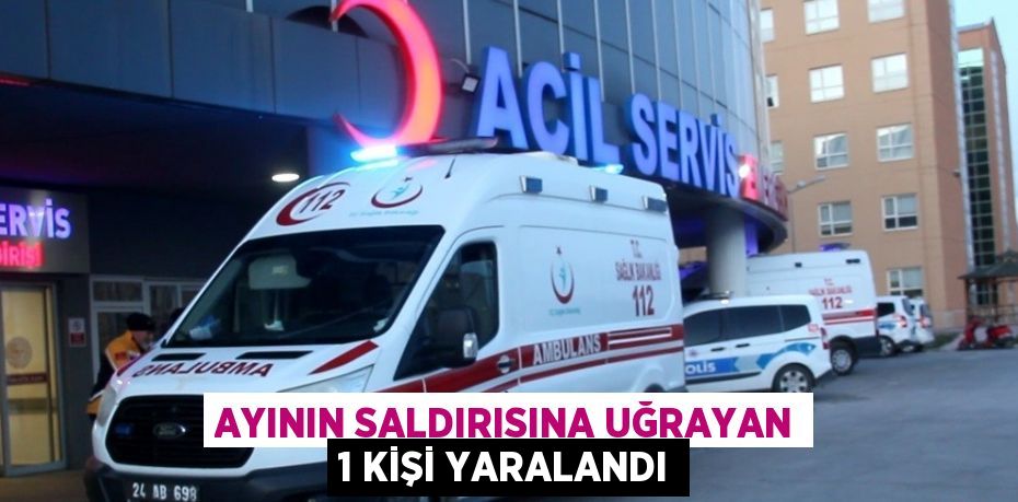 AYININ SALDIRISINA UĞRAYAN 1 KİŞİ YARALANDI